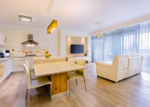 עיצוב דירת קבלן ברחובות, מבט מכיוון דלת כניסה, עיצוב פנים ופנג שואי, ענבל קרקו